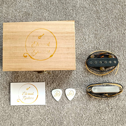 Eternal guitars t90 telecaster - guitars,